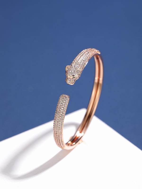 Cartier bracelet 01lyx56